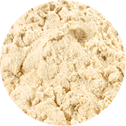 Plant protein powder icon