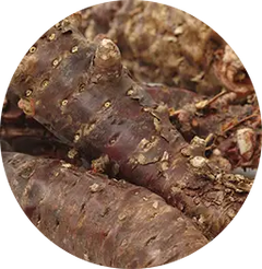Rhodiola Rosea Root Extract