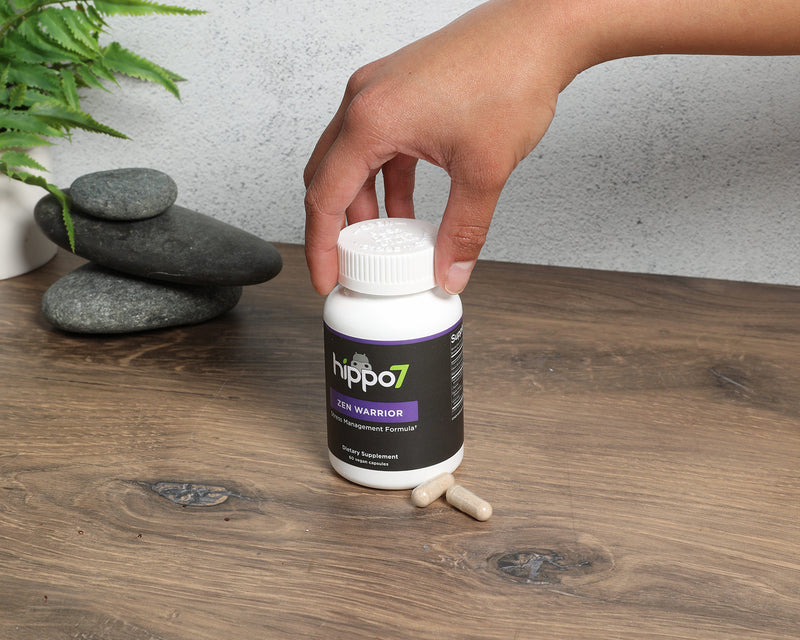 Hippo7 Zen Warrior stress management supplement being showcased and held