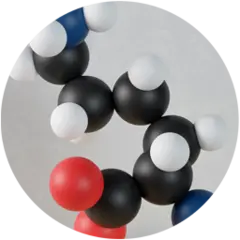 L-lysine