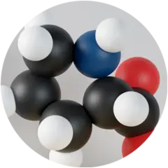 L-proline