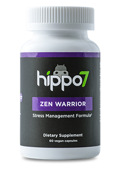 Zen Warrior